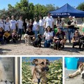 Giornata mondiale del cane: l'Enpa di Molfetta racconta la realtà del canile - FOTO