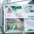 "Colto e Mangiato ", torna a Molfetta il progetto che insegna ai giovani a coltivare l’orto