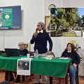 Riqualificazione di piazza De Gasperi: incontro pubblico del comitato  "Difesa del Verde e del Territorio "