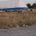Sterpaglie e rifiuti alla rotatoria di via Bettino Craxi: la segnalazione di un molfettese