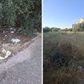 Erba alta e rifiuti davanti all'isola ecologica di Ponente: la segnalazione di un cittadino