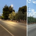 SP Terlizzi-Molfetta, risolto il guasto all’impianto di illuminazione