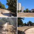 Molfetta riparte dal decoro urbano: i primi interventi dell'amministrazione Minervini