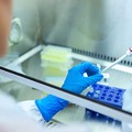 Altri 249 casi di Coronavirus registrati in Puglia nelle ultime 24 ore