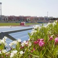 I campionati di atletica a Molfetta come occasione di promozione del territorio