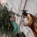 Settimana Santa, oggi il taglio della  "frasca " per la statua di Gesù nell'orto