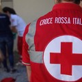 Una colomba solidale per sostenere la Croce Rossa Italiana di Molfetta