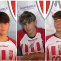 Il Barletta continua a pescare a Molfetta per il vivaio: altri tre giovani biancorossi spiccano il volo