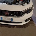 Daino attraversa la strada allo svincolo della 16 bis e provoca un incidente: la segnalazione