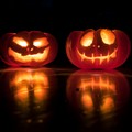 Halloween al Nido Comunale di Molfetta: oggi l'attività