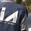 «Alcuni referenti del clan Capriati opererebbero a Molfetta»