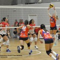 Dinamo Molfetta ko all'esordio in campionato