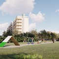 Iniziata la gara d'appalto per il dog park di Molfetta