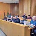 Diritto allo studio: il Consiglio comunale di Molfetta approva all’unanimità