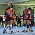 La Dinamo Molfetta torna alla vittoria e resta seconda in classifica