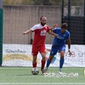 Il Borgorosso Molfetta riprende il suo cammino contro l'Unione Calcio Bisceglie