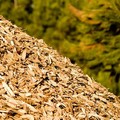 Ancora un no per la centrale a biomasse