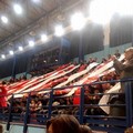 Al PalaPoli l'Exprivia Neldiritto Molfetta ospita Modena Volley