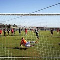 Il Panathlon discute delle prospettive del calcio a Molfetta