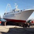 “Eliseo”, dai cantieri navali di Molfetta alla marineria di Caorle