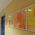 Disegna e risponde alle domande mentre la operano a un tumore al cervello. La storia di una donna di Molfetta