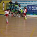  "Futsal on the road " all'ultima tappa. Per la vittoria la Nox Molfetta giovanile