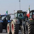 Crisi olivicola e caro gasolio, la maggioranza progressista al fianco degli agricoltori