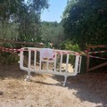 Incendio a Lama Martina: disposta la chiusura totale e temporanea dell'area