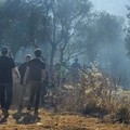Incendio a Lama Martina, il sindaco Minervini: «Una dolorosa ferita per Molfetta»