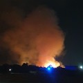 Vasto incendio nella zona di Cala San Giacomo