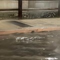 Bomba d'acqua su Molfetta: disagi alla circolazione