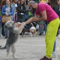 Molfetta avrà finalmente il suo  "dog park "