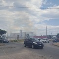 Sterpaglie in fiamme alla zona industriale