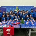 Tennistavolo L'Azzurro Molfetta, primi bilanci di fine anno