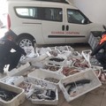 La Guardia Costiera di Molfetta in trasferta: sequestrati 3,7 quintali di pesce