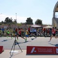 Assoluti di atletica: a Molfetta due giorni di gare, emozioni e sfide tra i migliori della regione