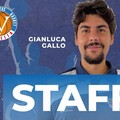 Gianluca Gallo nuovo coach della Dai Optical Virtus Molfetta