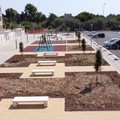Tra dog park e area attrezzata in via Massari: la riqualificazione della nuova zona di espansione a Molfetta