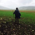 Da Molfetta a piedi fino a Monte Sant'Angelo per l’Ufficio delle Tenebre