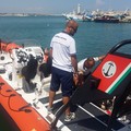Sicurezza in mare: pubblicata l'ordinanza balneare 2025 per Molfetta e Giovinazzo
