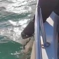 Molfetta, nuove regole per la dispersione delle ceneri funebri in mare