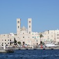 Seconda assemblea generale di Radici APS su decoro urbano e verde pubblico: «Un’altra città adesso è possibile»