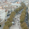 Attentato di Barcellona: presenti dei molfettesi in città