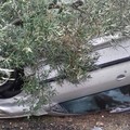 Incidente stradale sulla strada Ruvo-Molfetta: un'auto si ribalta in un fondo - LE FOTO