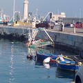 Peschereccio si inabissa nelle acque del porto di Molfetta