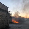 Incendio nei pressi delle stalle nel rione Arbusto a Molfetta