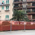 In Piazza Garibaldi i simboli della visita di Papa Francesco a Molfetta