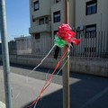 Carabiniere ucciso, a Molfetta spunta una coccarda tricolore: «Onore a voi tutti»