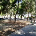 Piazza Primo Maggio sporca? L'ASM: «Villette pulite con regolarità dagli operatori»