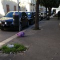 Il verde nella scuola, l'immondizia abbandonata all'esterno della "Filippetto "